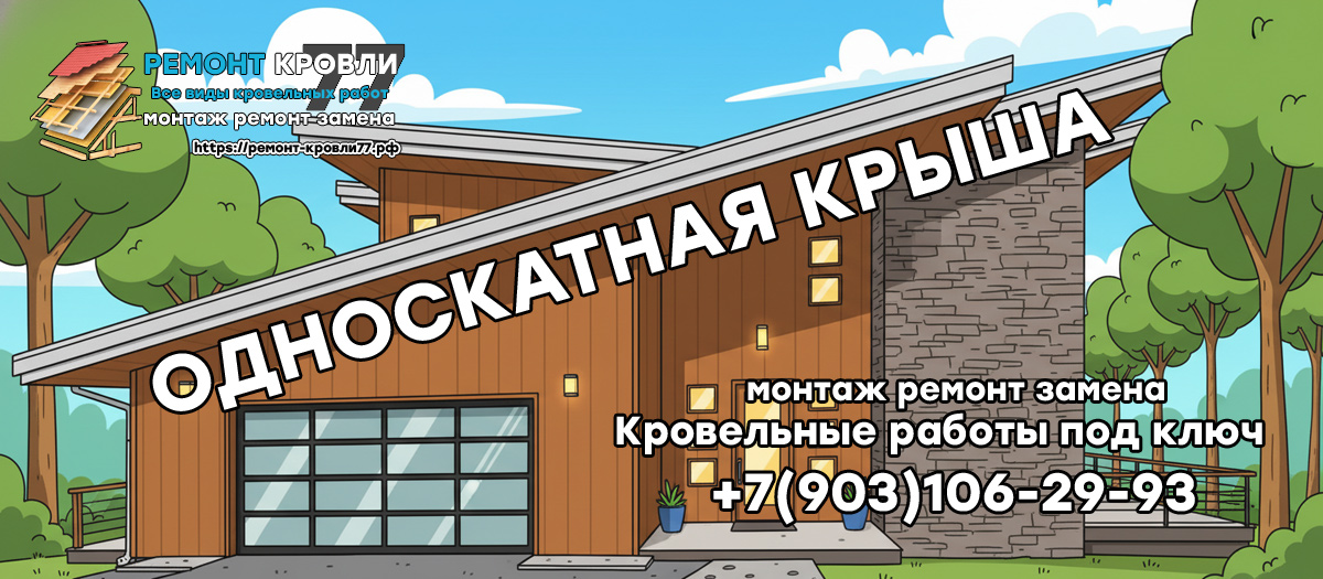 Монтаж односкатной крыши в Пушкино и Пушкинском районе недорого под ключ